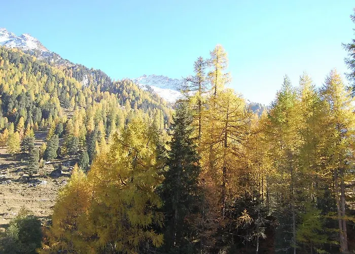 アパート Mont 16 By Interhome ジヴィウ